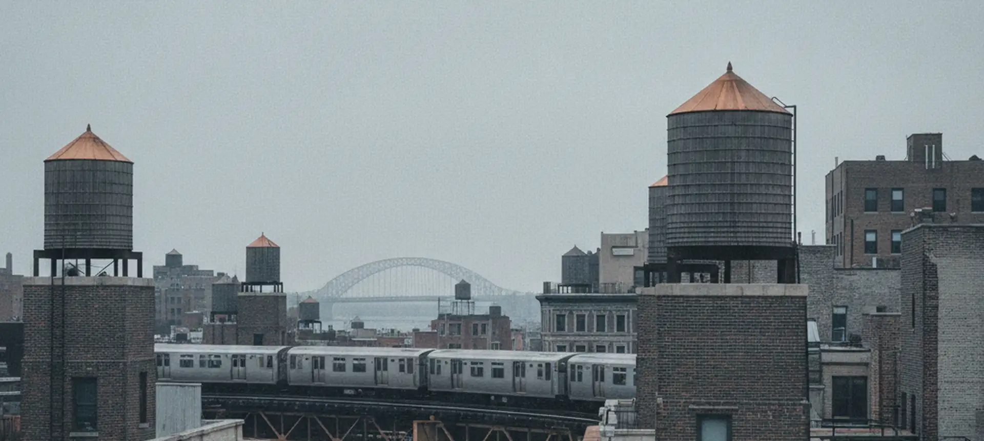A wide view across Bronx rooftops of pre-war apartment buildings with water towers, an elevated line and a bridge in the distance.